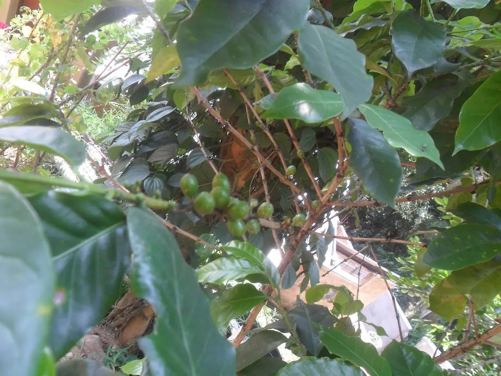 Gasthof Mahaweli Regent Hotel Kandy